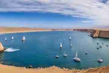 paracas national reserve