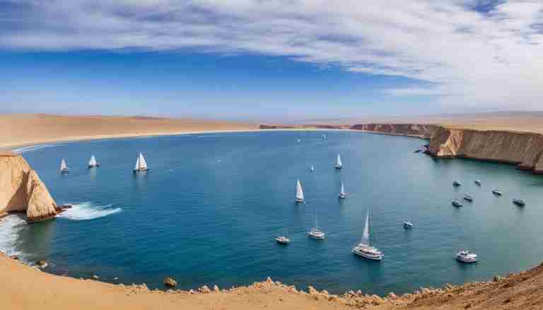 paracas national reserve