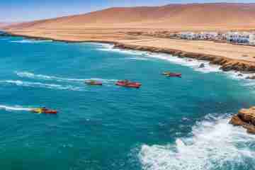 paracas peru tours