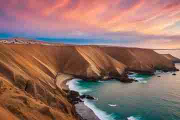 paracas peru wildlife